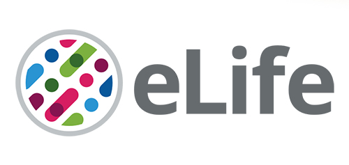 eLife journal logo