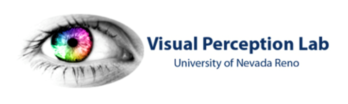 Visual perception lab logo