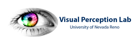 Visual perception lab logo