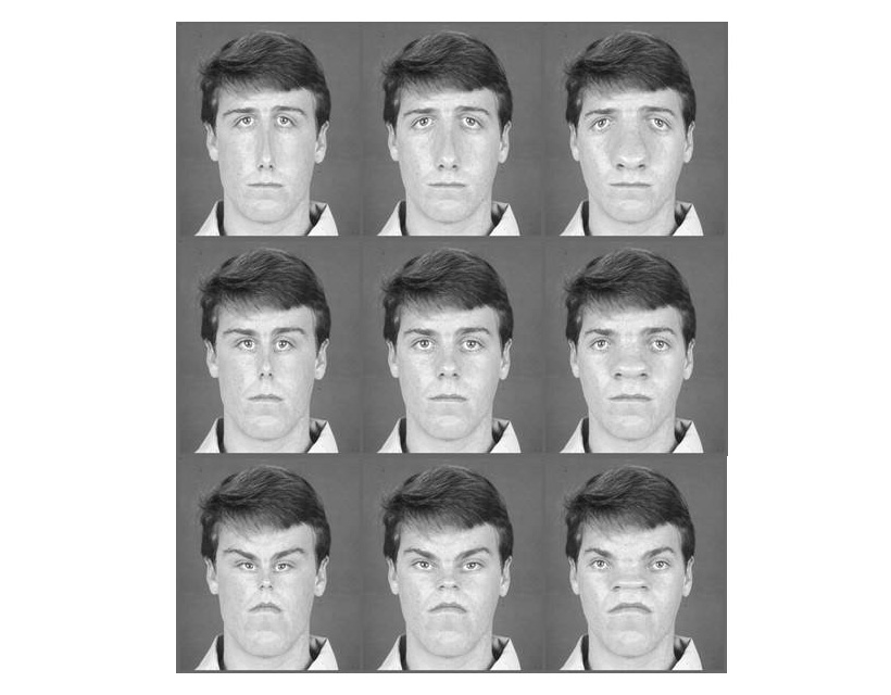 An image depicting 9 faces of the same identity, but each version of the face is distorted in different ways. The center face is undistorted, while surrounding faces are either pinched or pulled along the x or y-axis of the nose