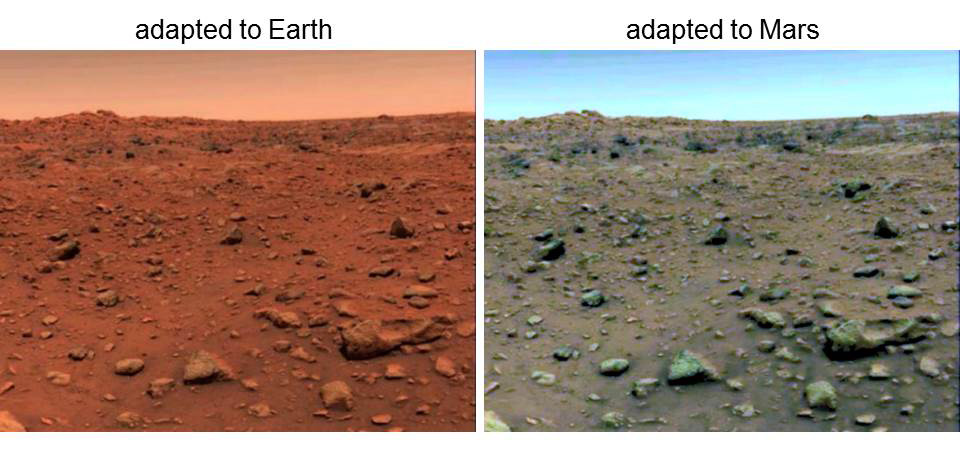 2 panel image. Left panel: simulated image of how Mars may look if you are adapted to colors on Earth. Right panel: simulated image of how Mars may look if you are adapted to colors on Mars. The right image looks much duller in color.
